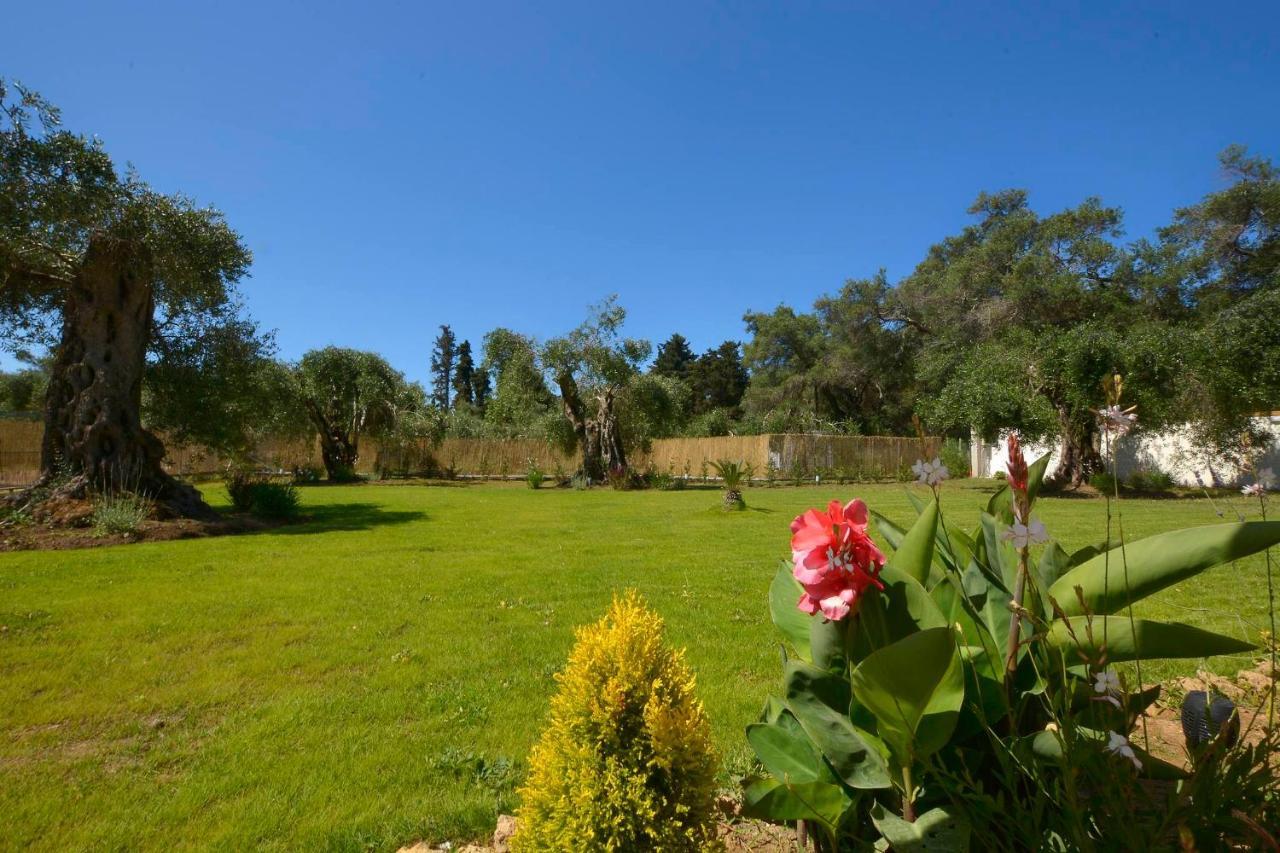 La Casa Del Sole Villa Halikounas Bagian luar foto